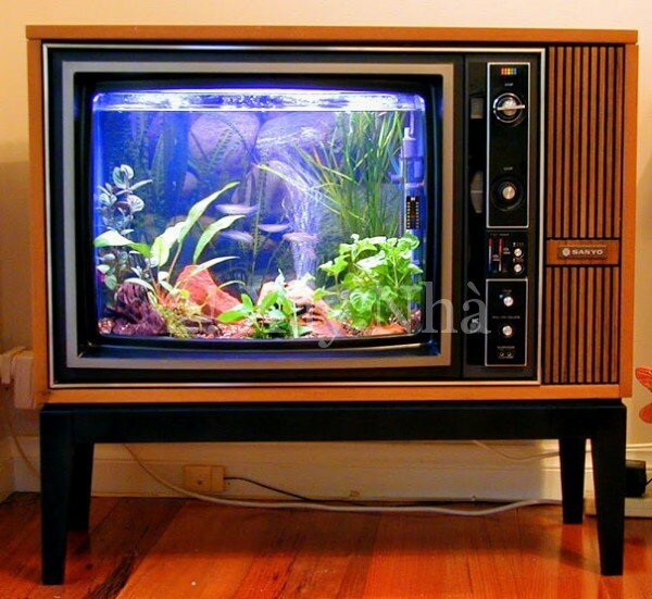 Old TV Into Aquarium